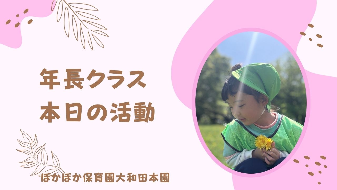本日の活動　本園5歳児クラス