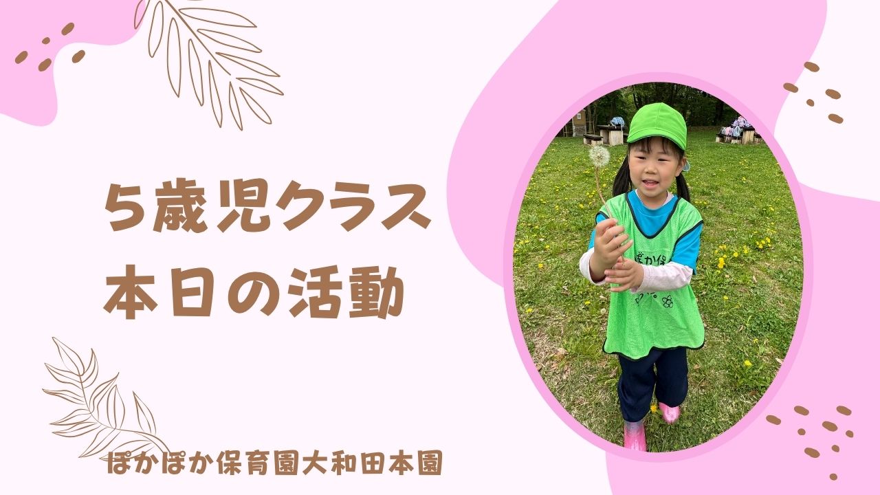 自然活動で思い出づくり♪　5歳児