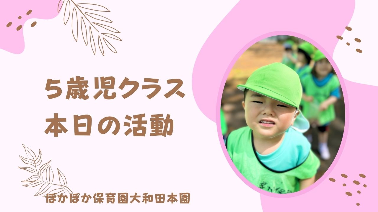 本日の活動　本園5歳児クラス