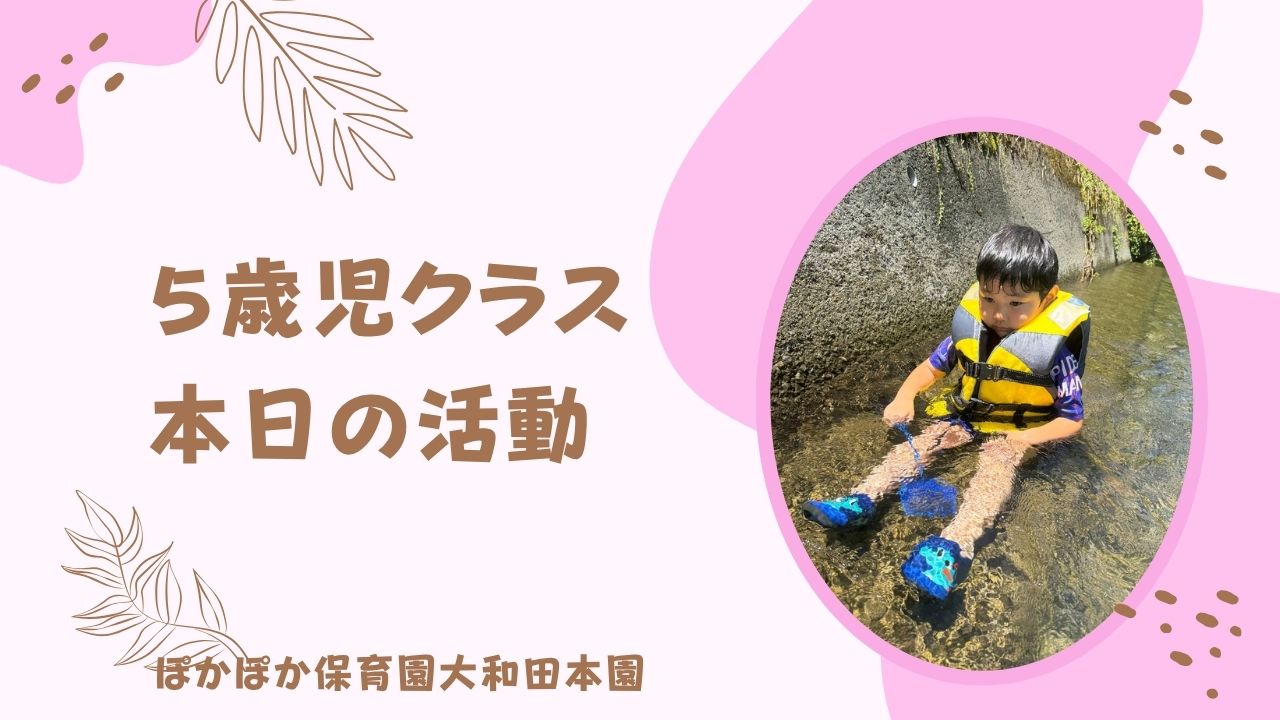 本日の活動　本園5歳児
