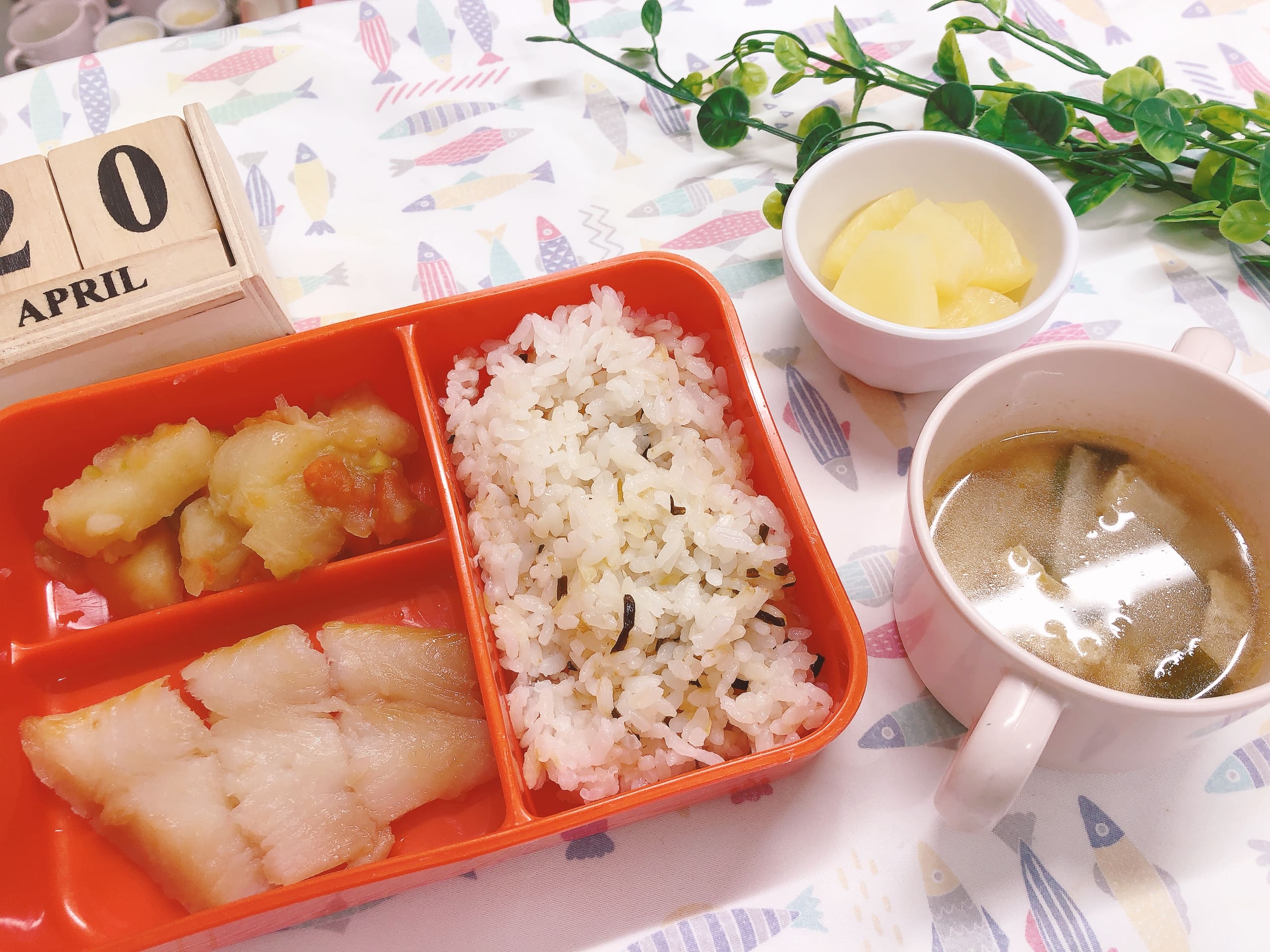 今日の給月食4月20日(月)