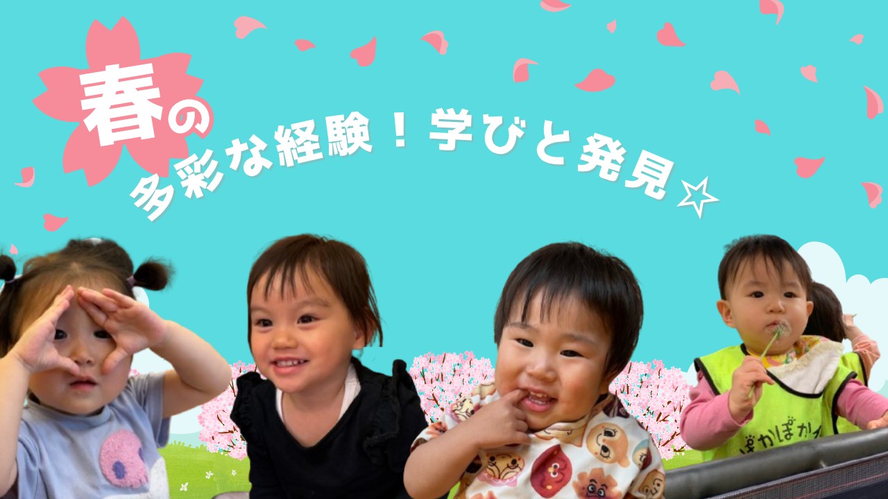 多彩な経験！学びと発見☆ぽかぽか保育園