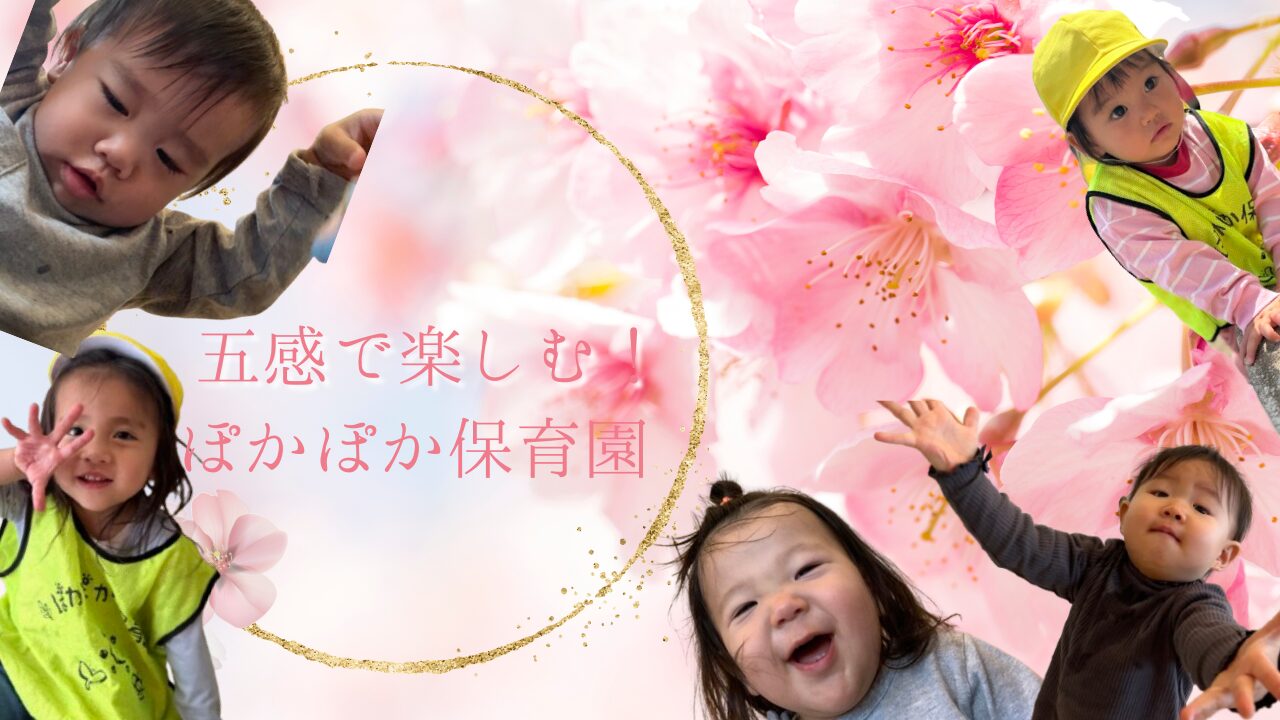 五感で楽しむ!ぽかぽか保育園
