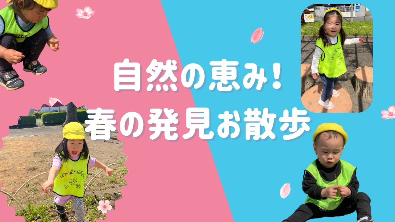 自然の恵み！春の発見お散歩　ぽかぽか保育園