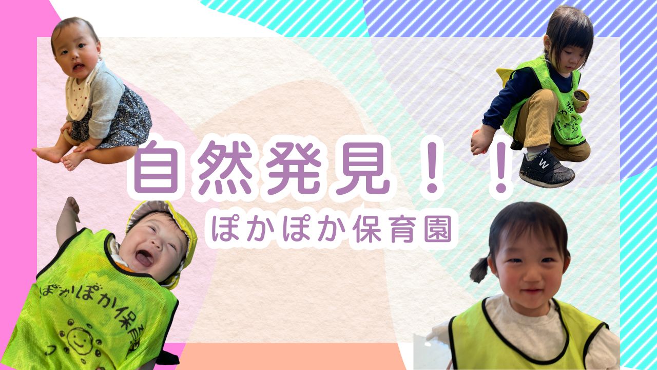 自然発見！公園の冒険！