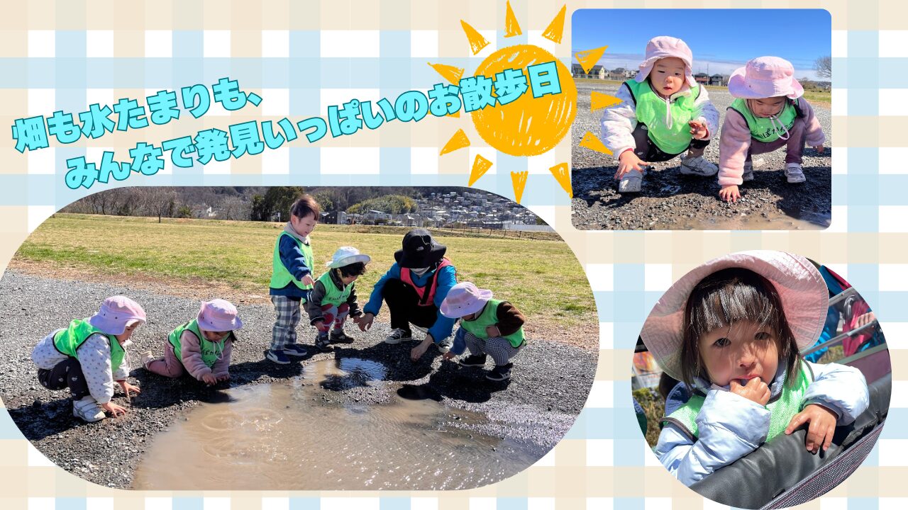 畑も水たまりも、みんなで発見いっぱいのお散歩日