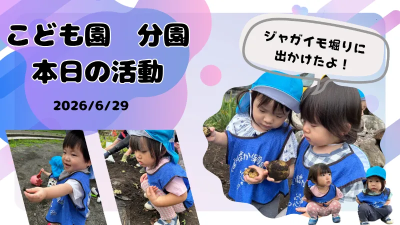 畑や公園で夏の自然に触れました♪