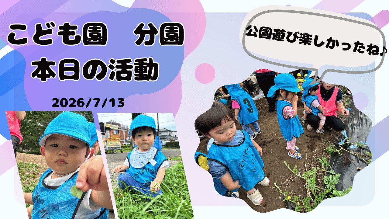 夏の自然に触れて大発見!畑と公園で元気いっぱい☆