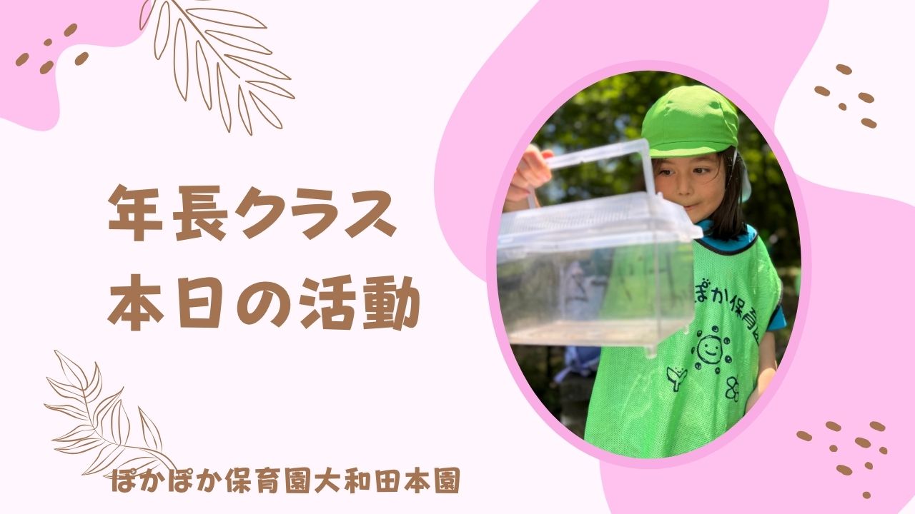 楽しいカリキュラム♪　本園２歳児