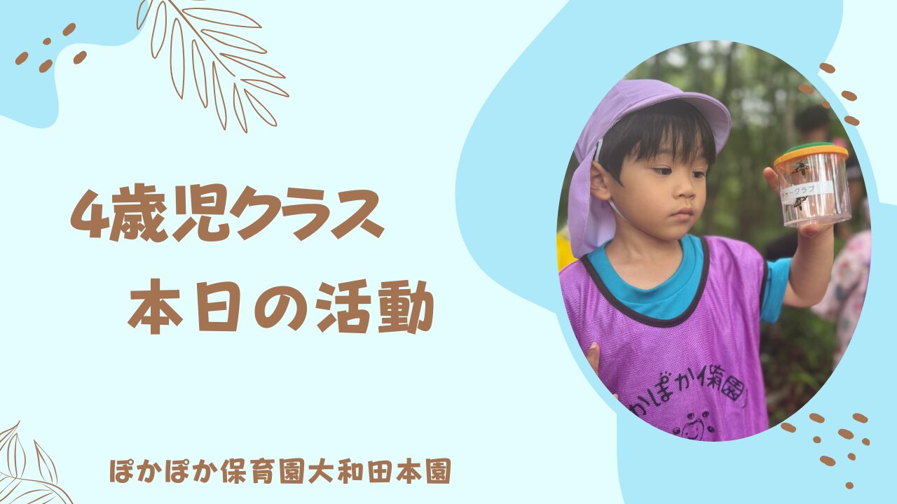 6/10　四歳児　自然活動
