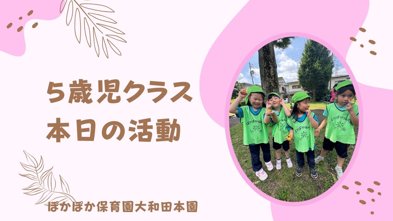 本日の活動　本園5歳児