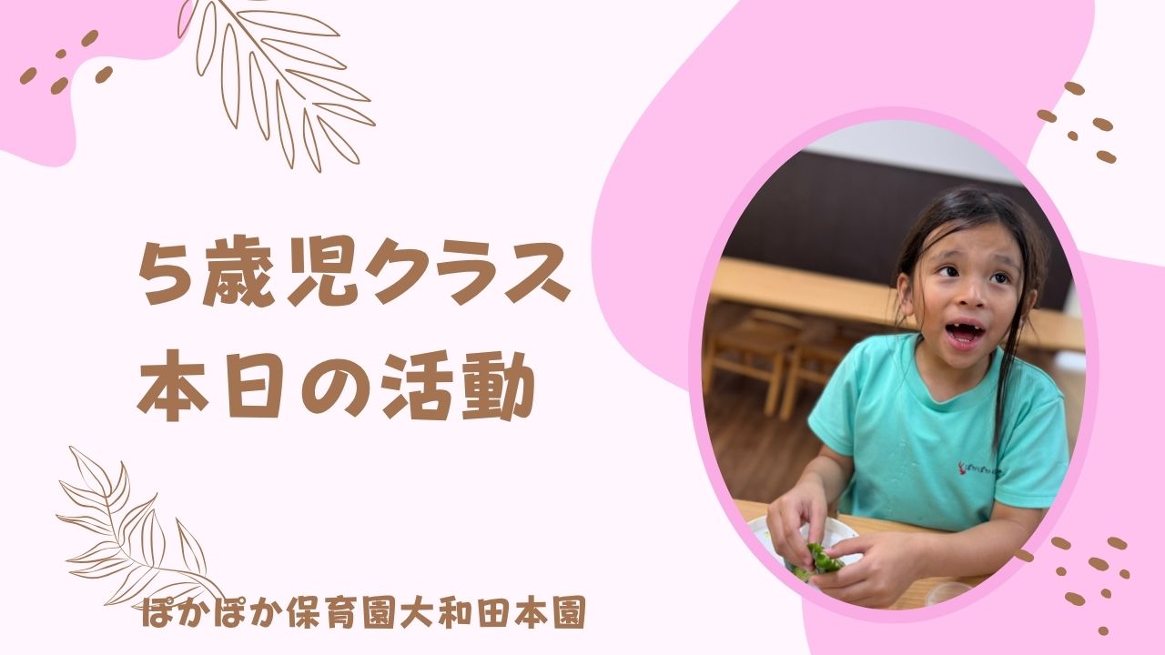 野菜の種を研究しよう！！　5歳児