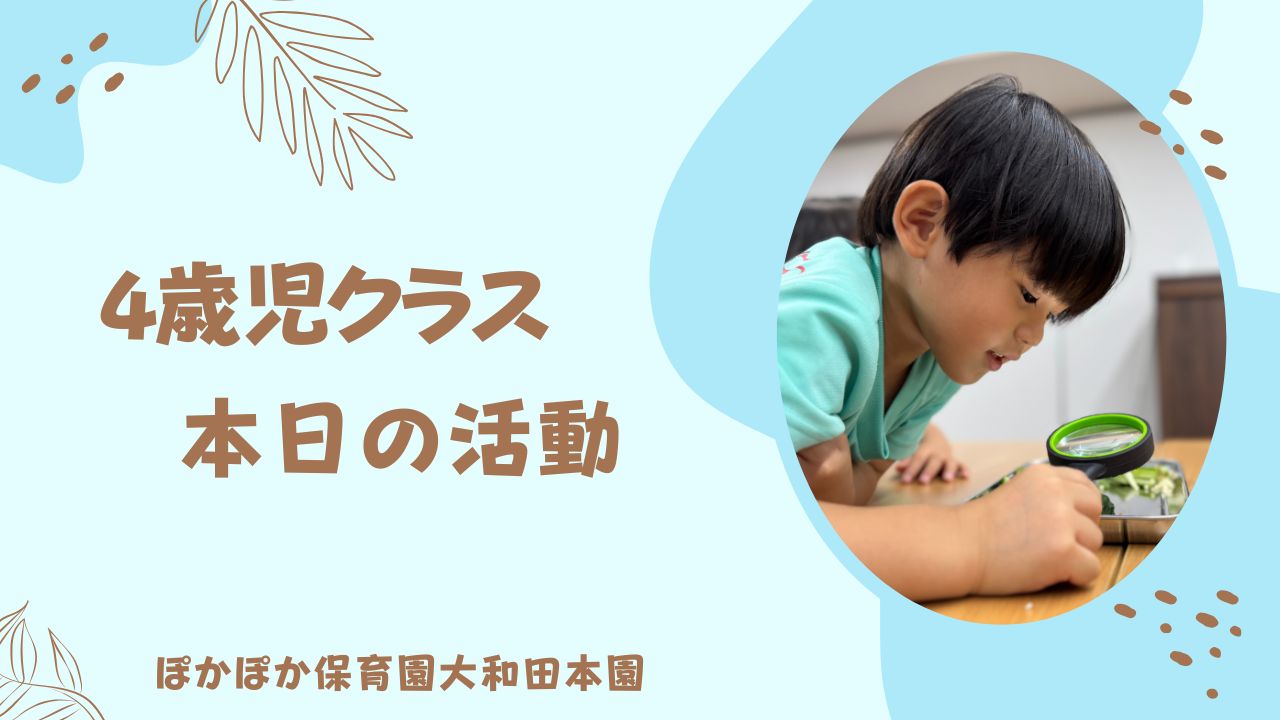 やさいのたねってどんな？？　4歳児