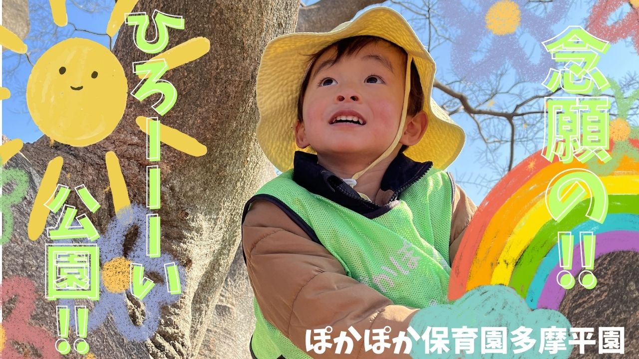 念願の！！ひろーーーい公園！！ぽかぽか保育園多摩平園