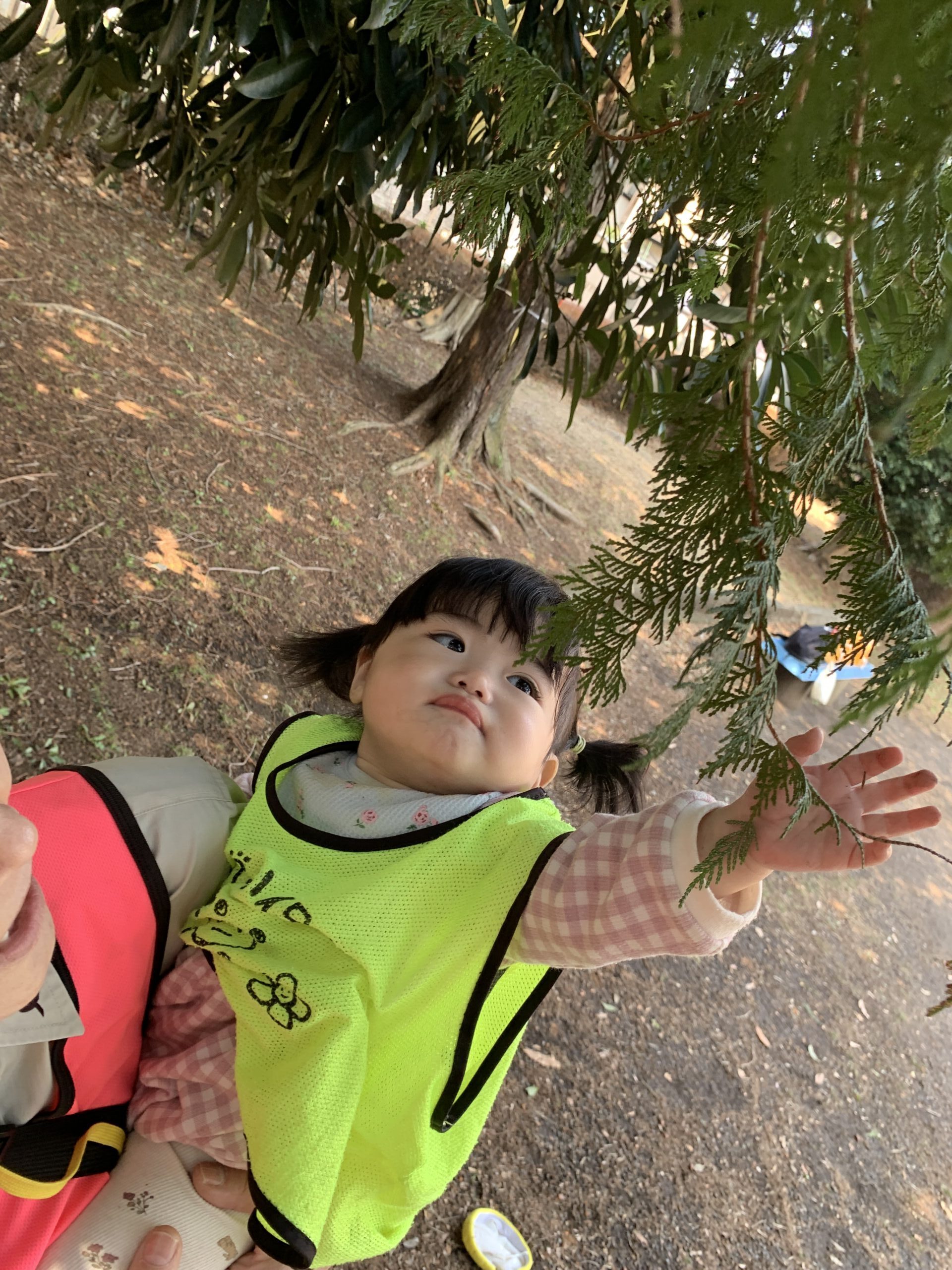 ぽかぽか春が来た♬　ぽかぽか保育園