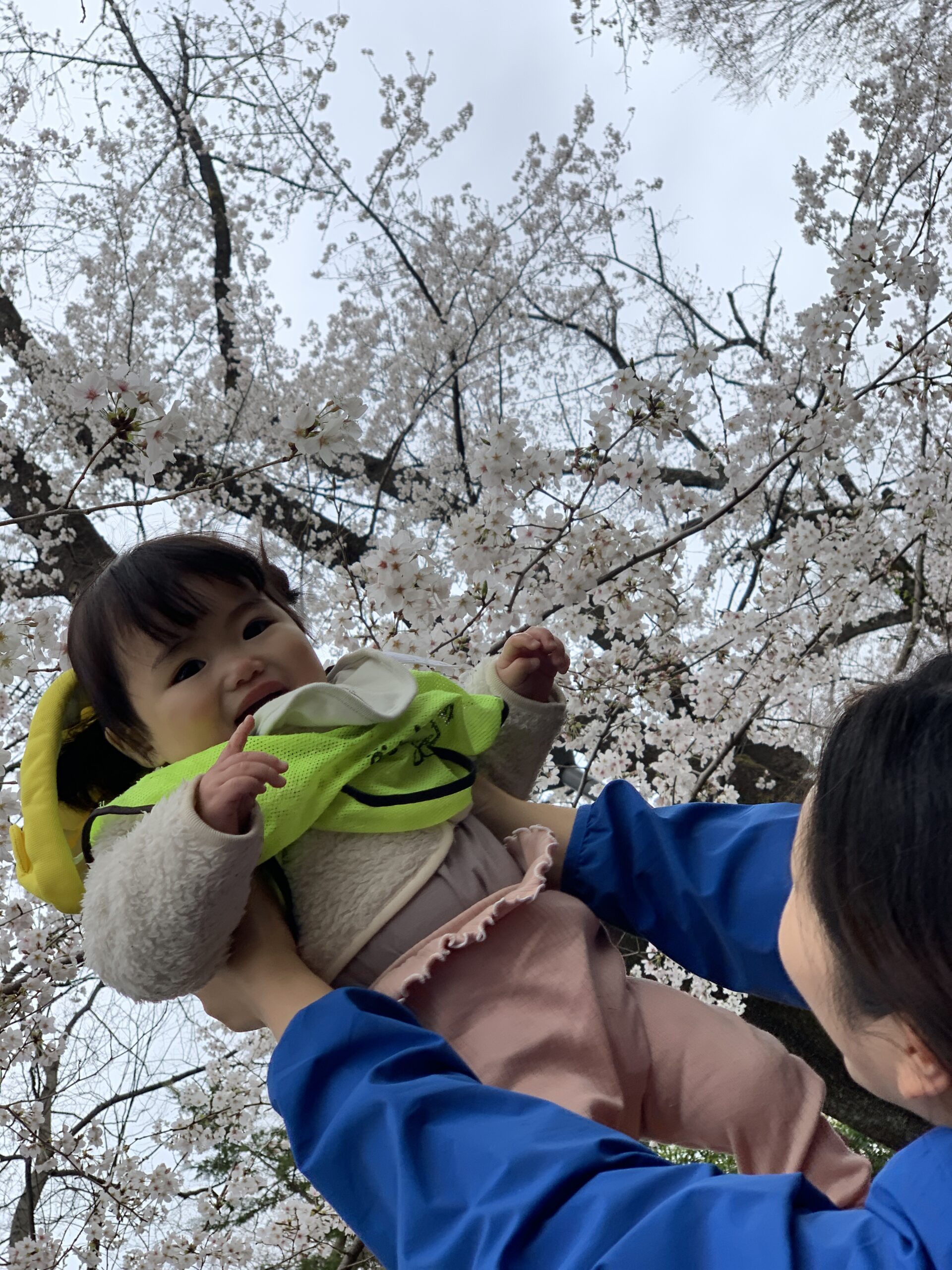 一年の成長と新たなスタート☆ぽかぽか保育園