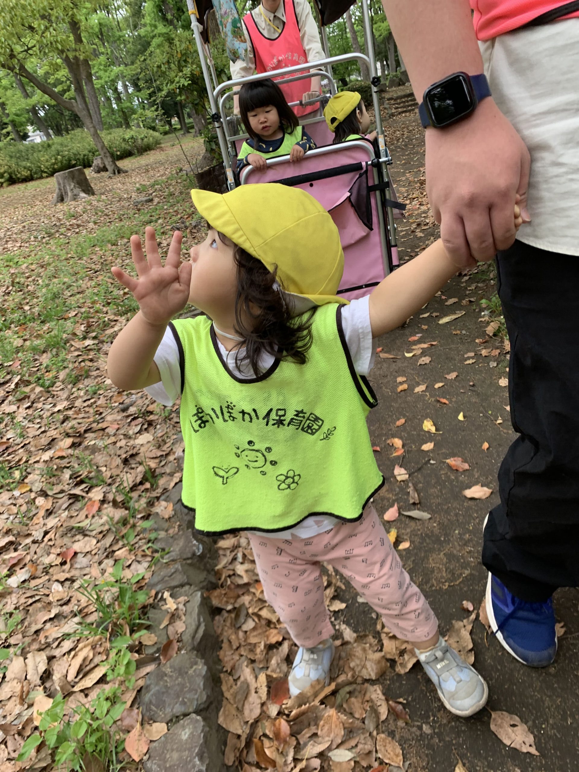 ありさんやハトさんいっぱいいたよ! ぽかぽか保育園