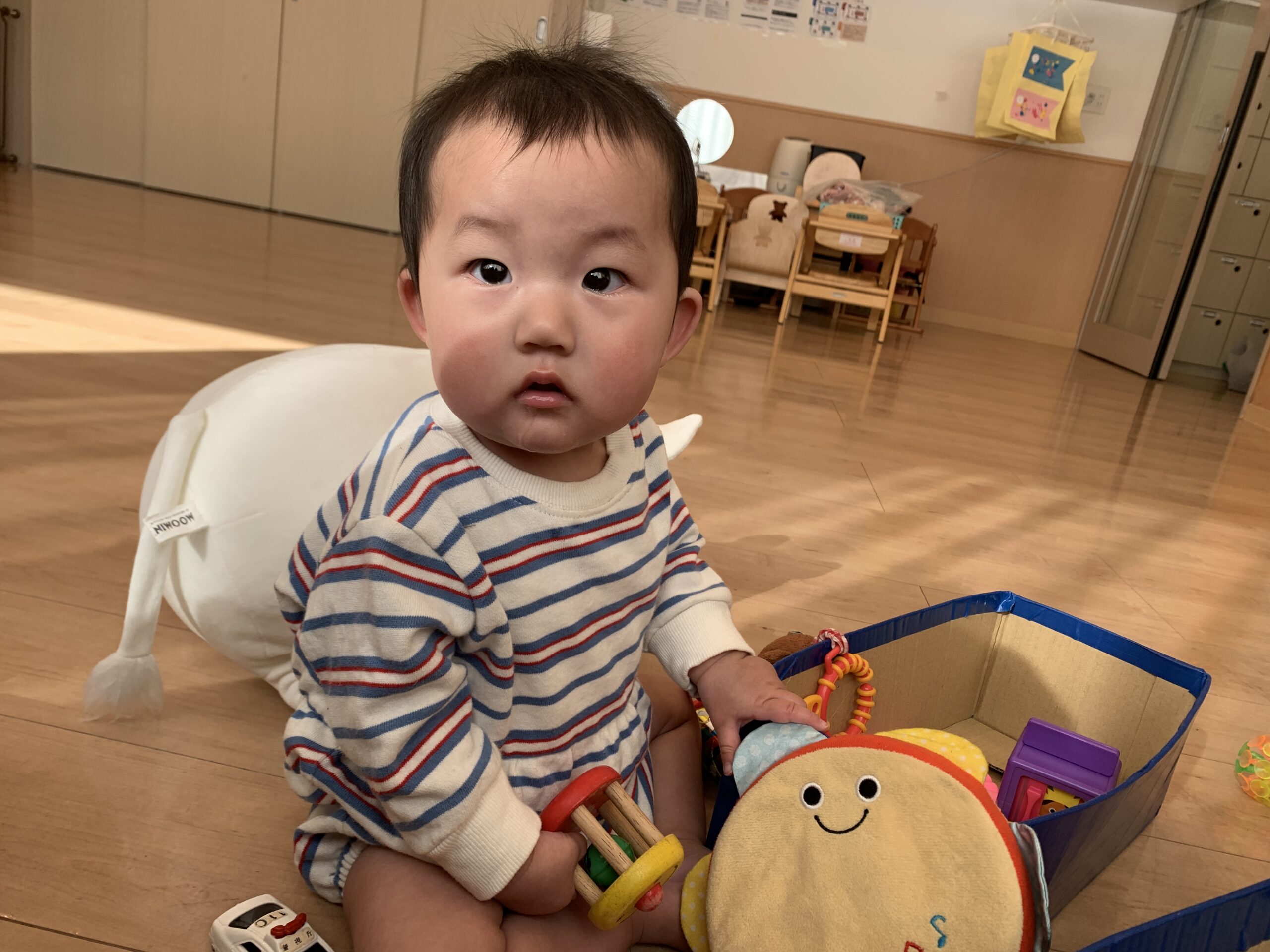 春の公園で宝物探し!一人ひとりの楽しい発見!ぽかぽか保育園