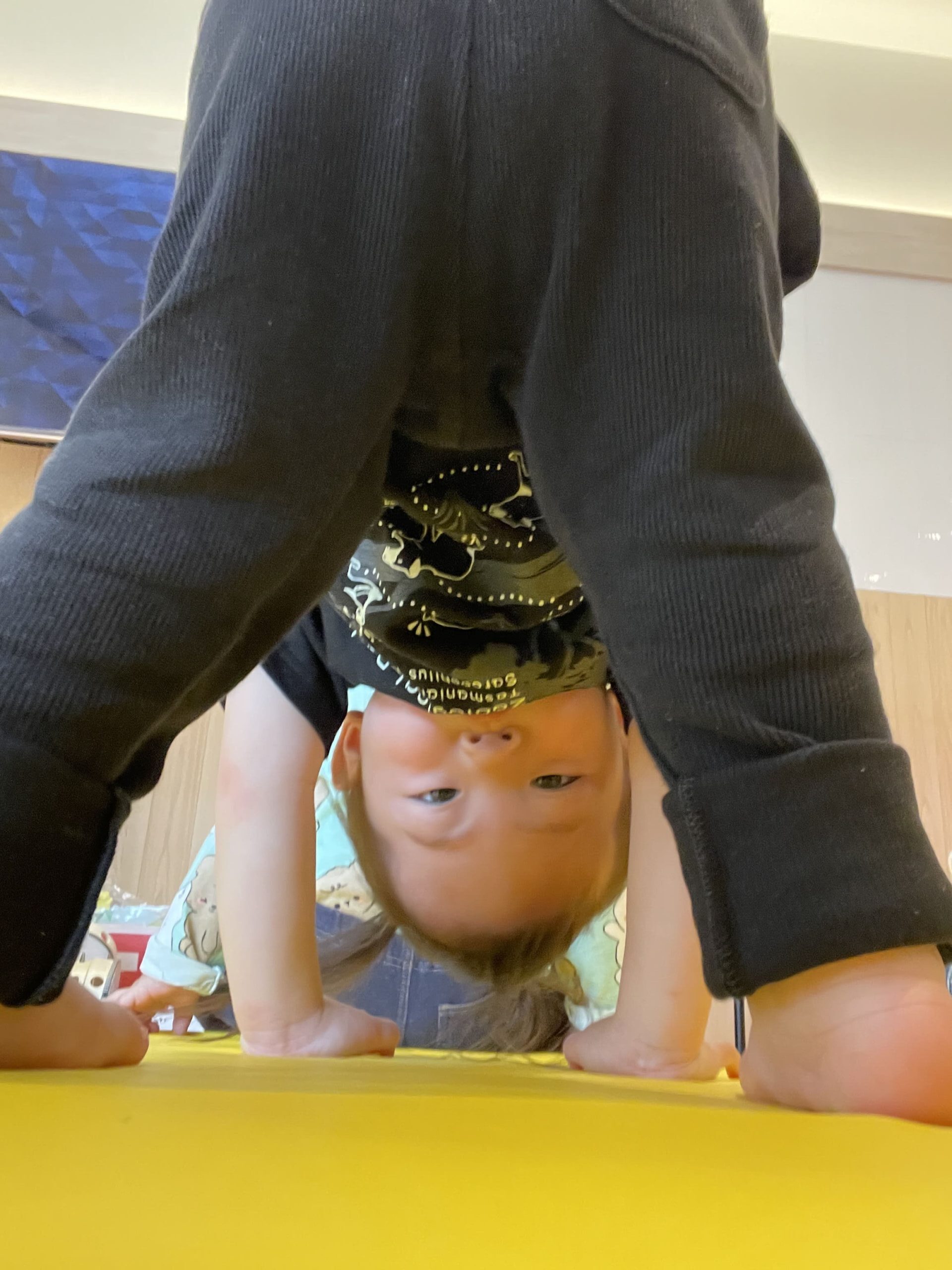 咲いた咲いた🌷 ぽかぽか保育園多摩平園