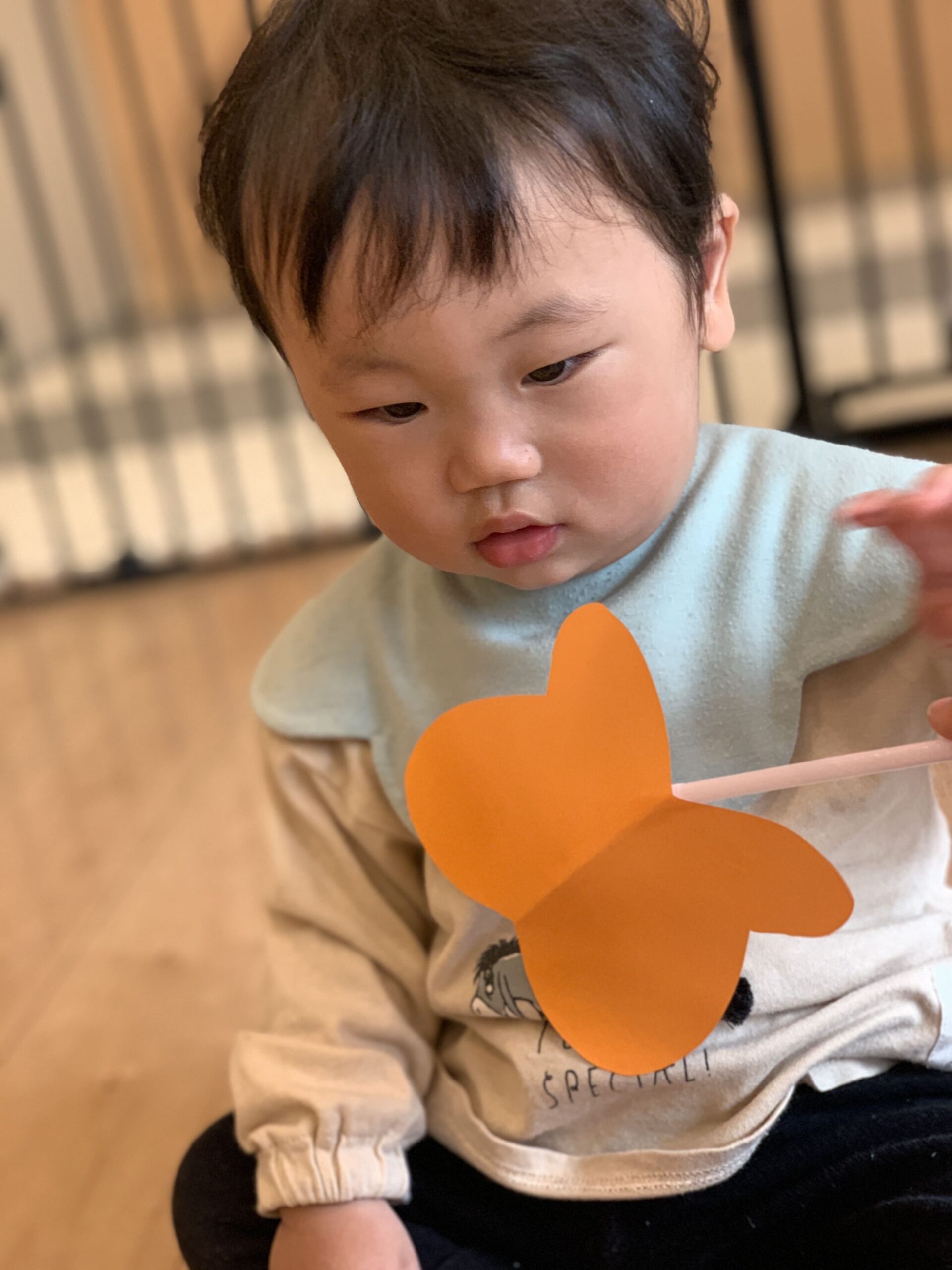 春を感じた一日☆ ぽかぽか保育園