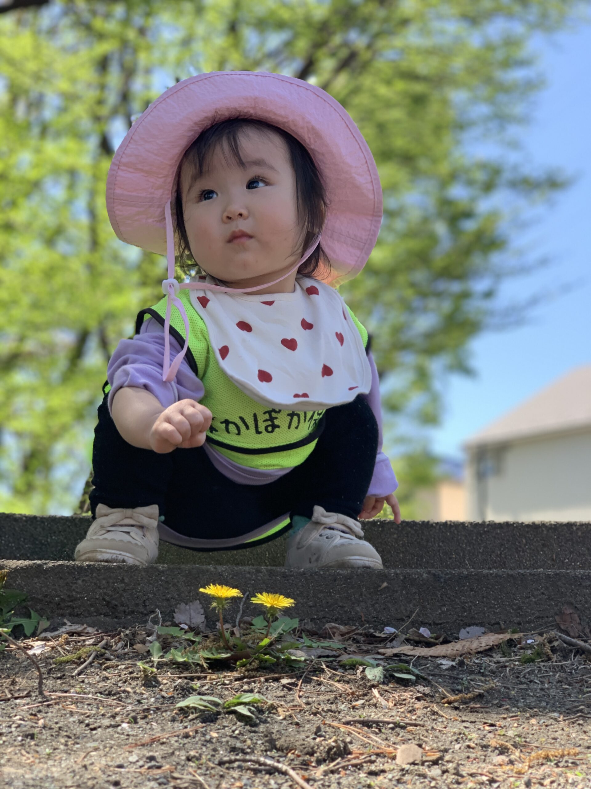 春の息吹とともに遊ぶ子どもたち♬ ぽかぽか保育園