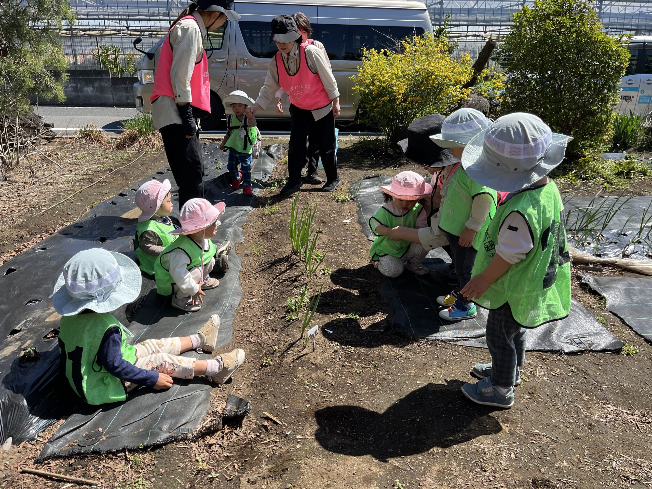 春の畑と坂道の冒険 ぽかぽか保育園多摩平園