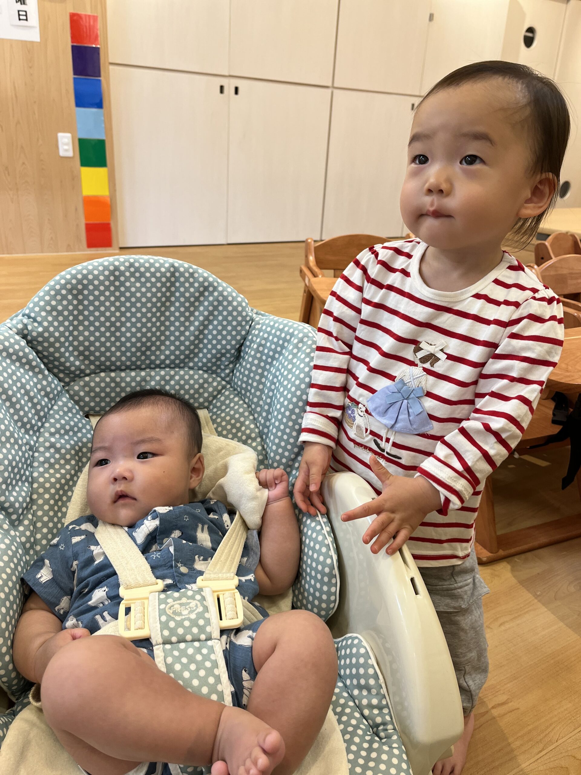 桜の絨毯み~つけた♡