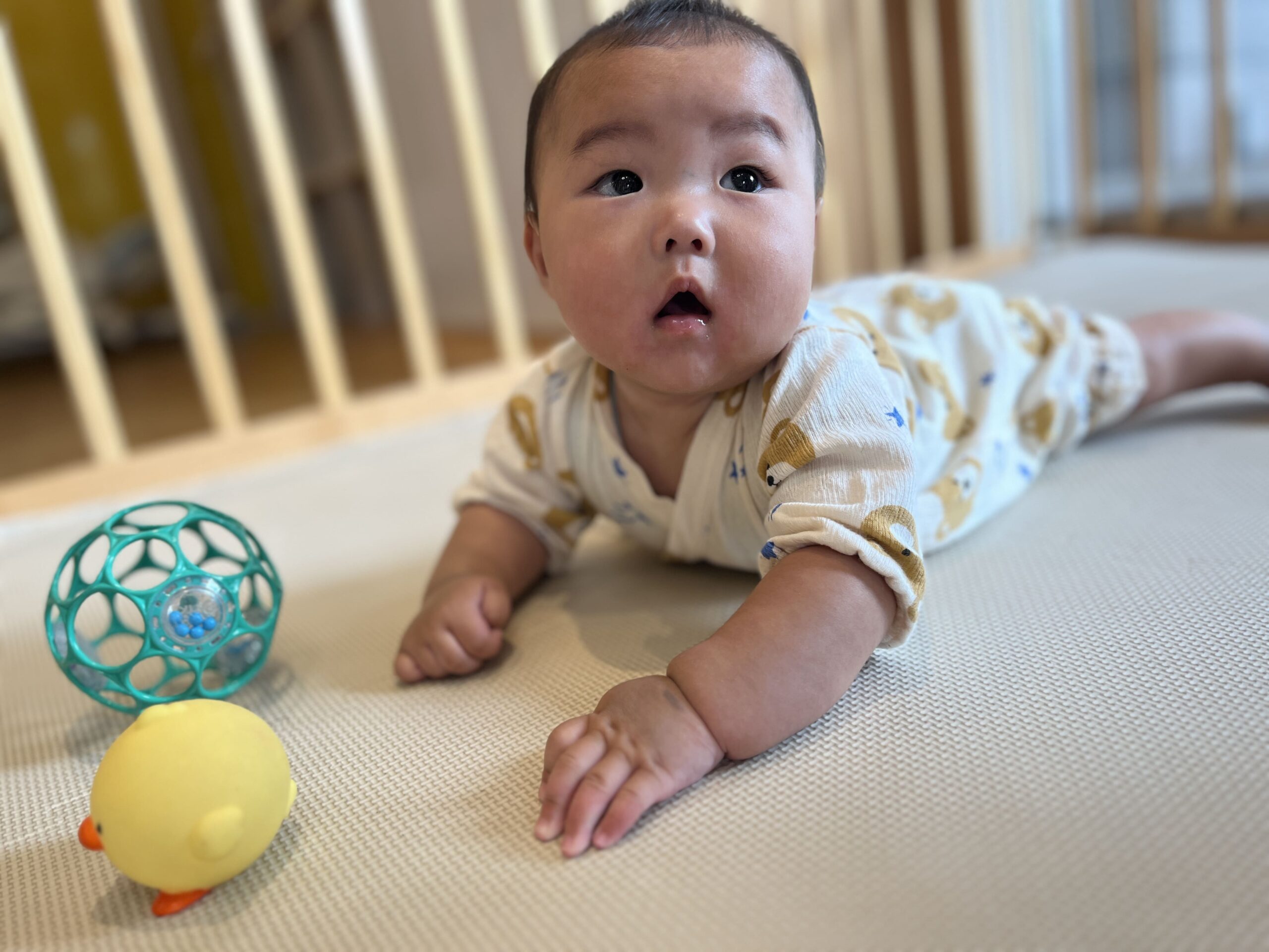 ～音楽と虫と～驚きの出会いが盛りだくさん！　ぽかぽか保育園多摩平園