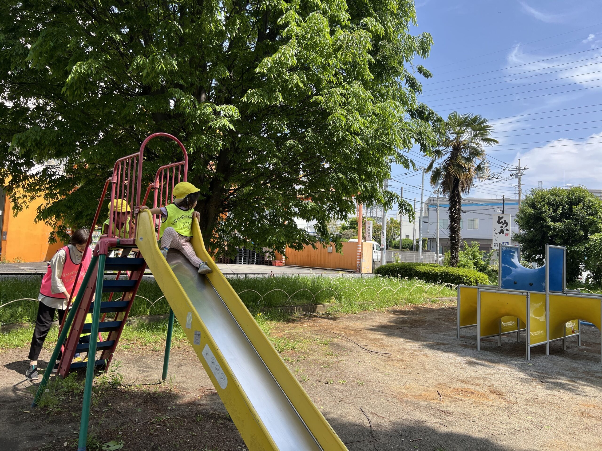 元気いっぱい！公園で過ごす穏やかな一日　ぽかぽか保育園