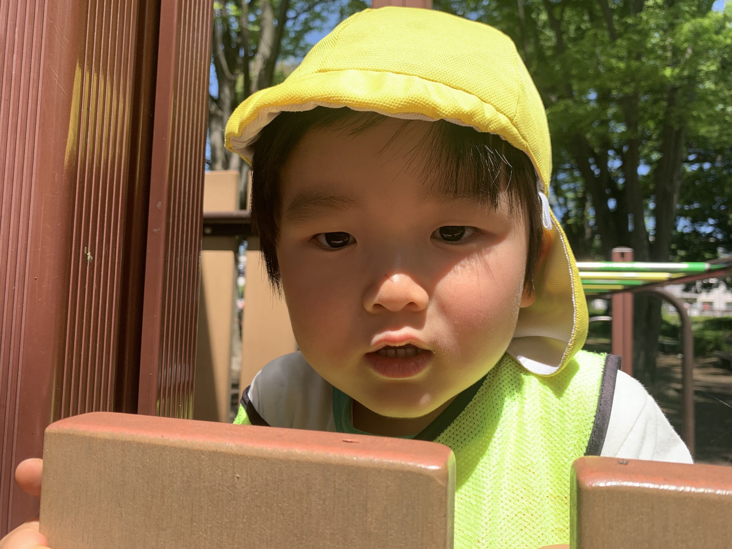 公園での小さな発見♪　ぽかぽか保育園