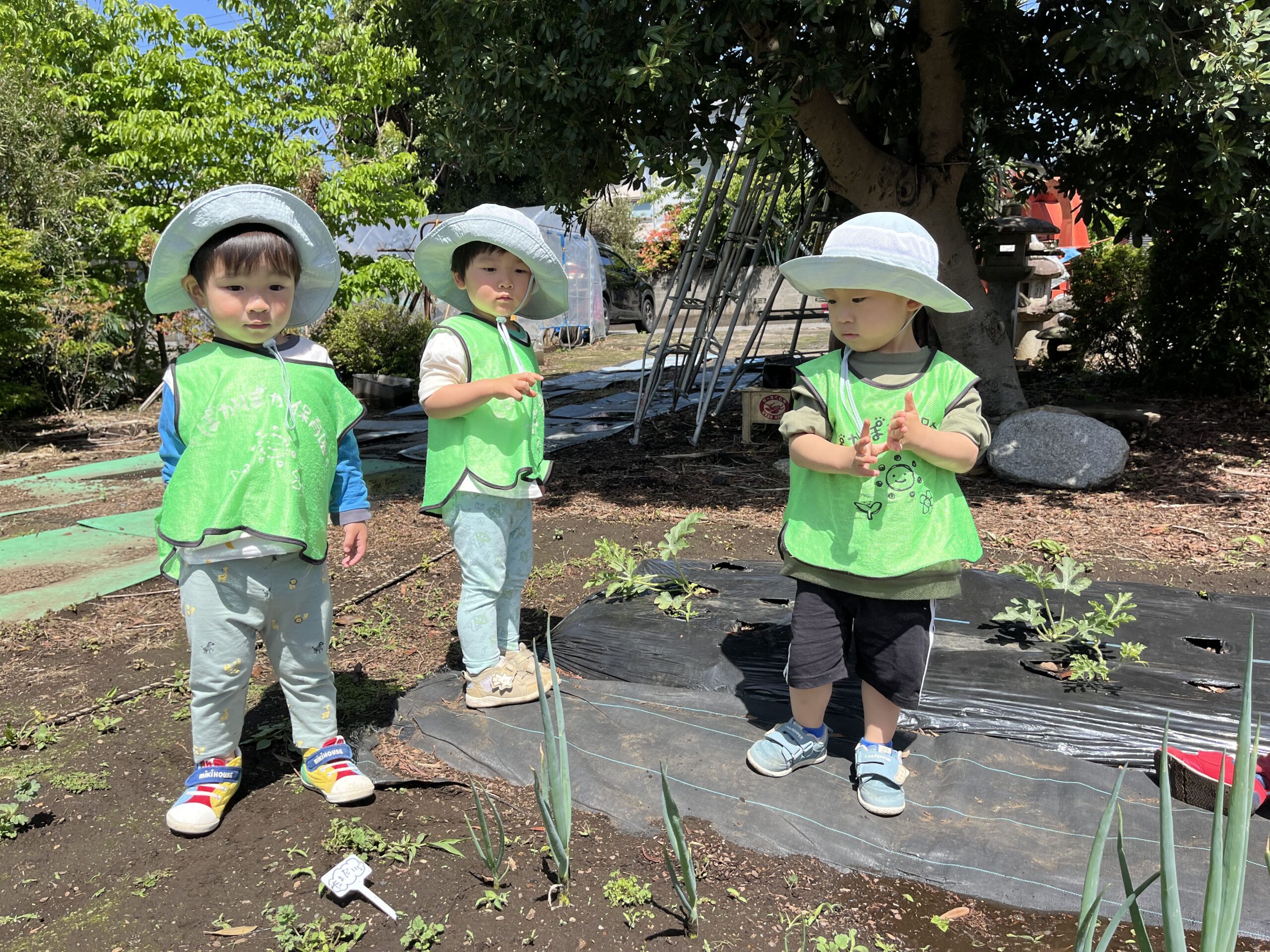元気いっぱい!笑顔あふれる春の一日 ぽかぽか保育園多摩平園