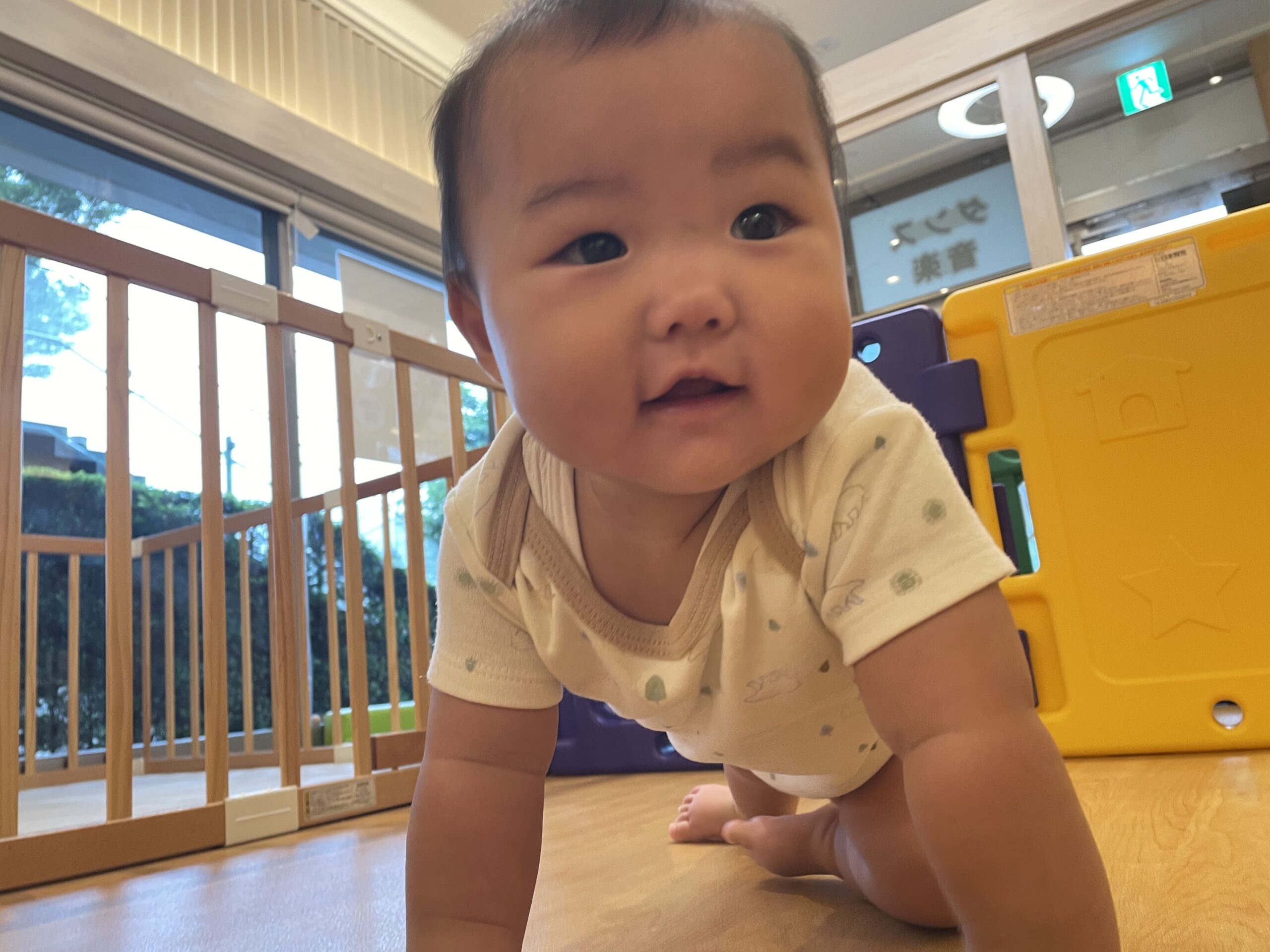 雨の日もワクワク!ぽかぽか保育園多摩平園で広がる学びと楽しい体験|乳幼児保育・手厚い保育の毎日