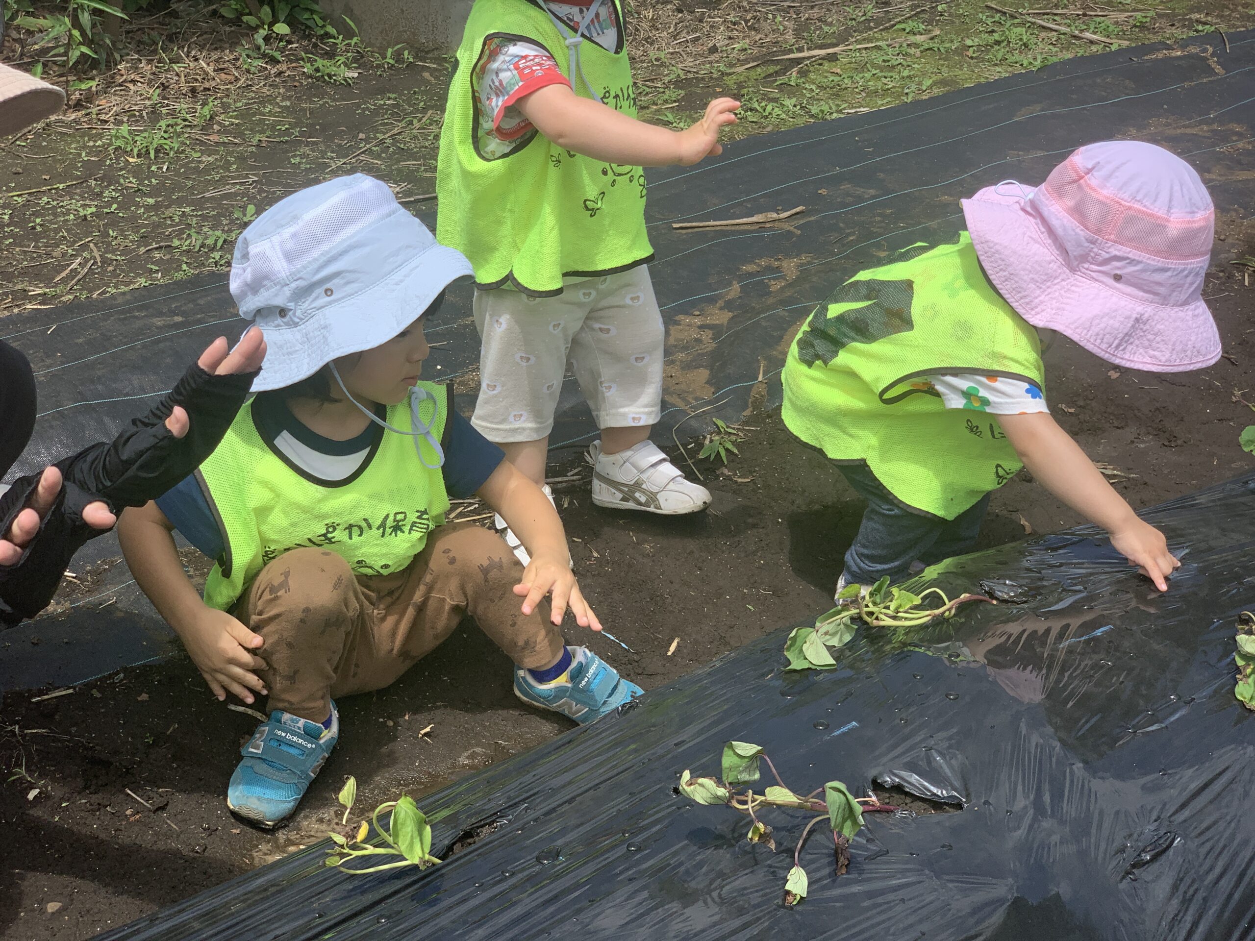 🌞暑い日でも元気いっぱい! ぽかぽか保育園
