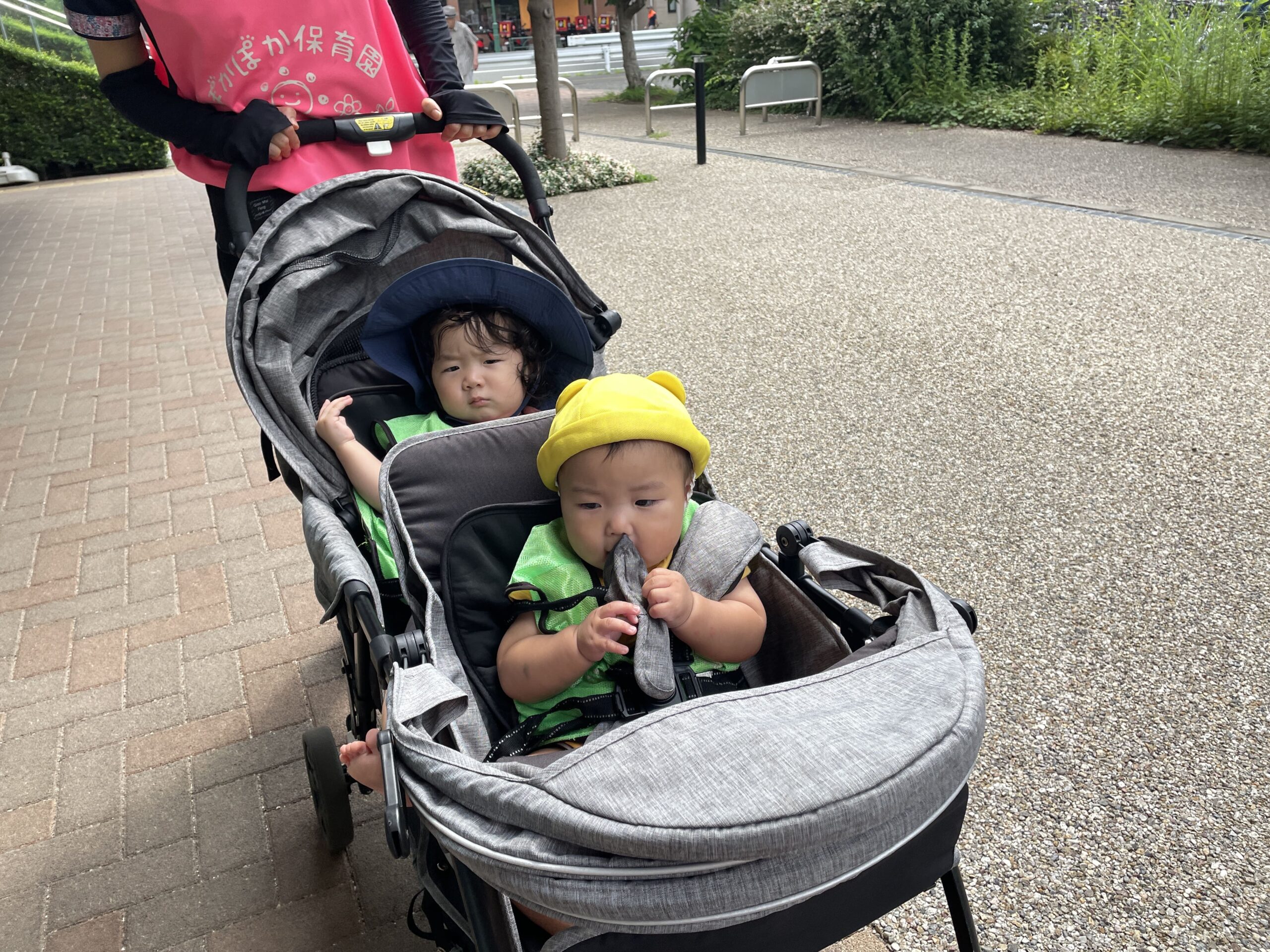 畑でサツマイモ発見！？0〜2歳児の発見とワクワクがいっぱい　ぽかぽか保育園多摩平園