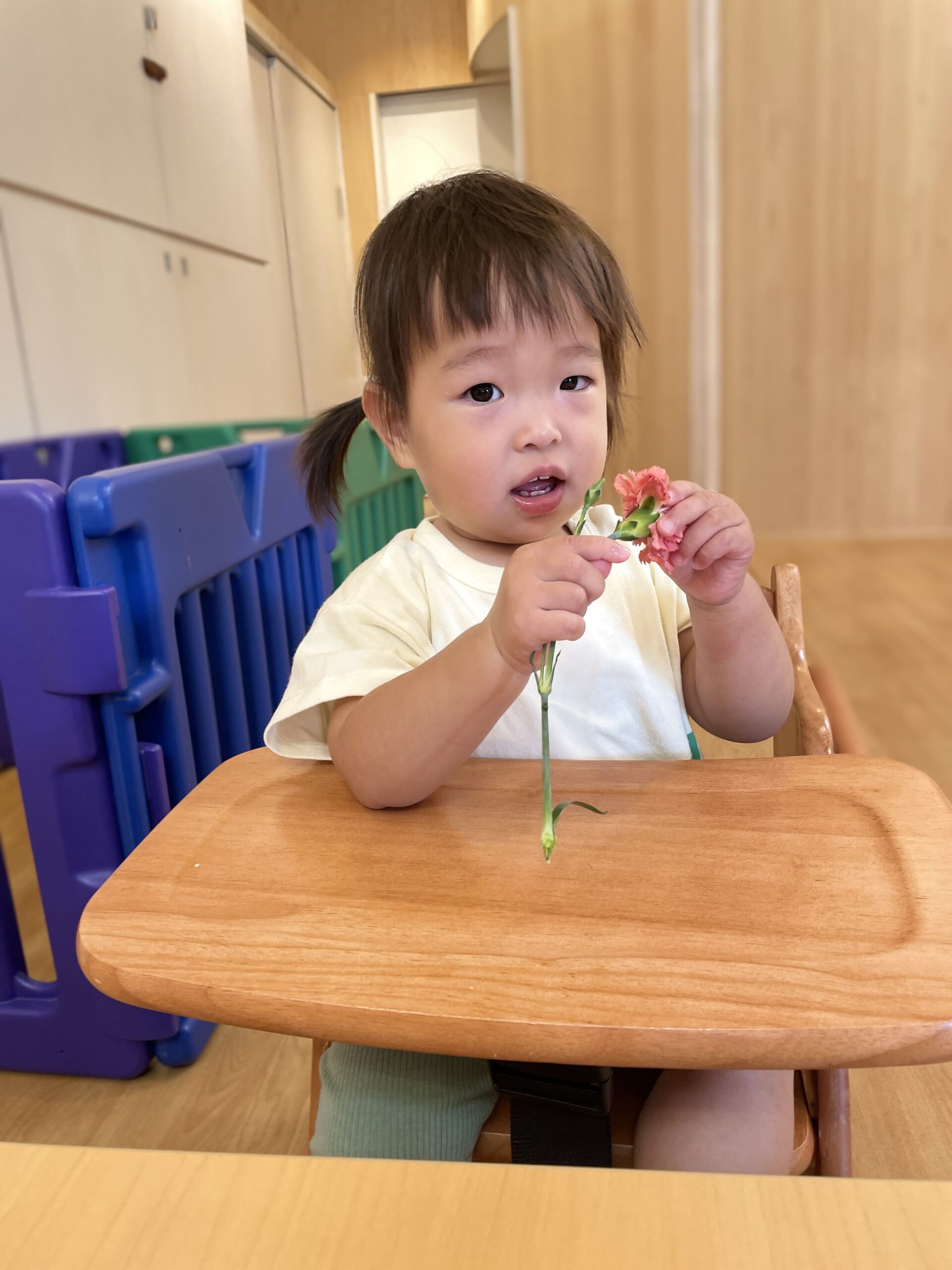 ~サイエンスから水遊び、新聞紙のお風呂まで!感動いっぱいの一日~ ぽかぽか保育園多摩平園