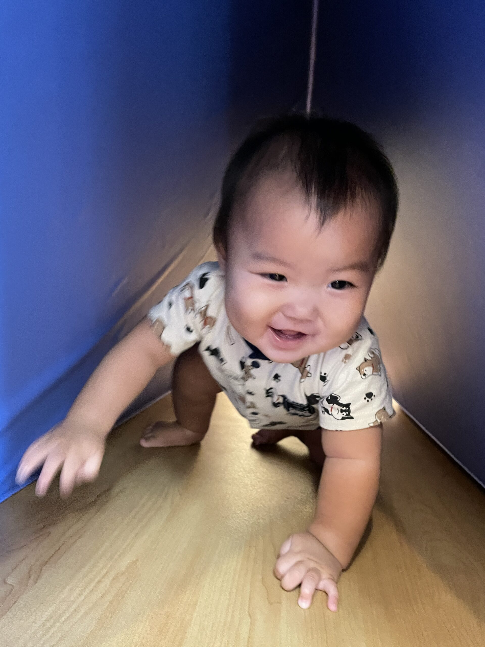 みんなで踊って動いて！交流ダンスと体育遊びの楽しい1日　ぽかぽか保育園多摩平園