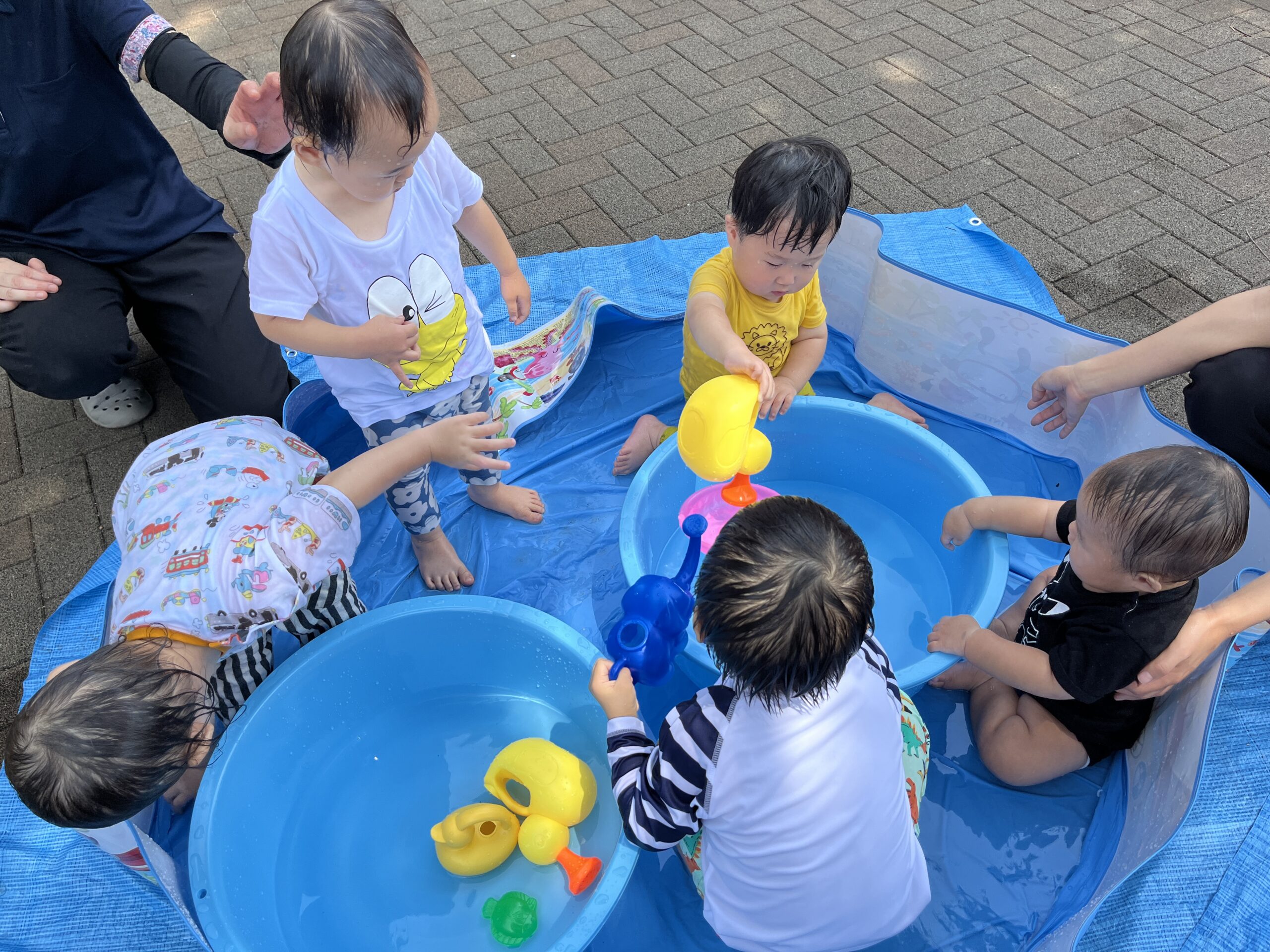 暑さに負けず水遊び!藤の花の豆に大発見 ぽかぽか保育園多摩平園