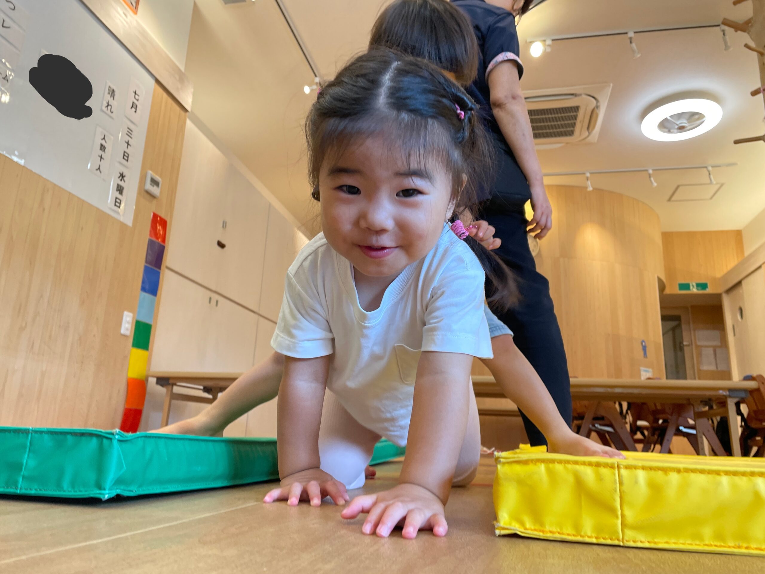 大きく育ったサツマイモと電車観察の日　ぽかぽか保育園多摩平園