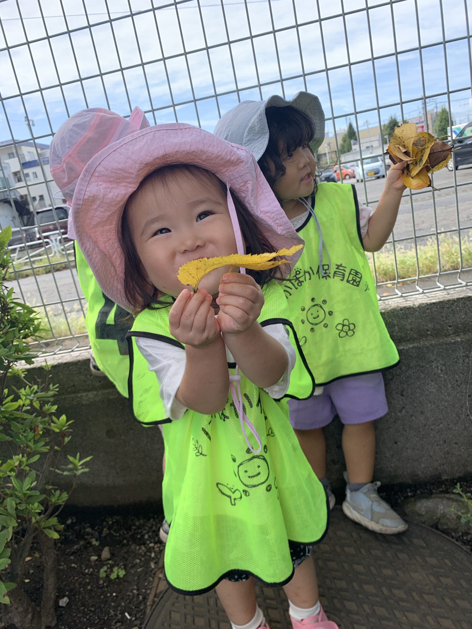 芸術の秋到来! ぽかぽか保育園