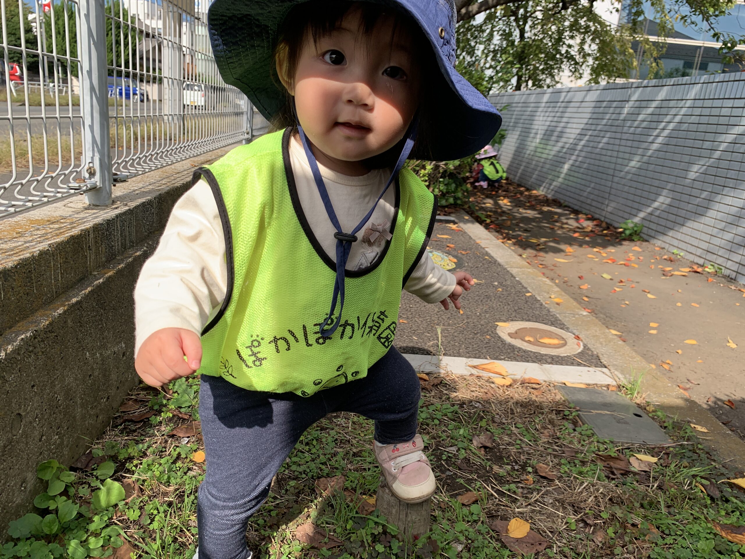 秋の発見!ダンスと畑で笑顔満開 ぽかぽか保育園