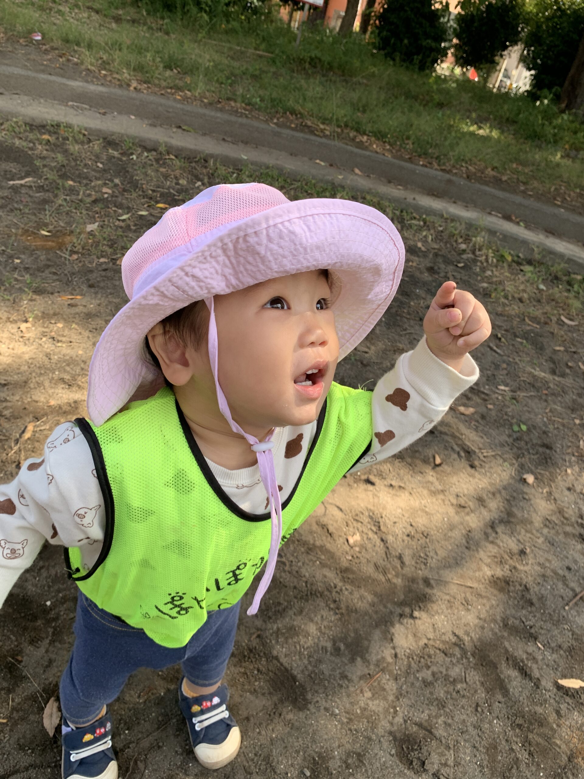 公園遊びと運動で元気いっぱい! ぽかぽか保育園