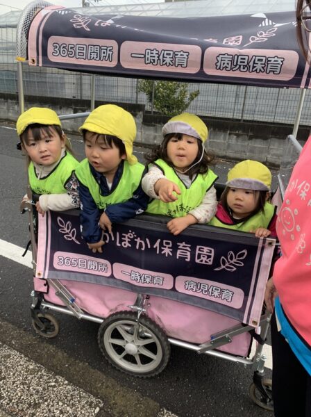 不思議がいっぱい！お散歩探検隊