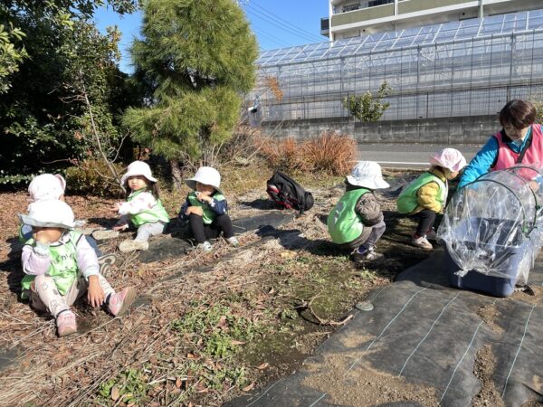芽にお水、砂に挑戦—0・1・2歳さんの畑と公園デイ ぽかぽか保育園多摩平園