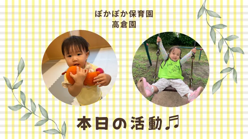 室内も戸外も!冒険いっぱいの一日 ぽかぽか保育園
