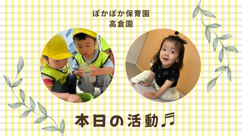 感性育む八王子市保育園の一日☆ぽかぽか保育園