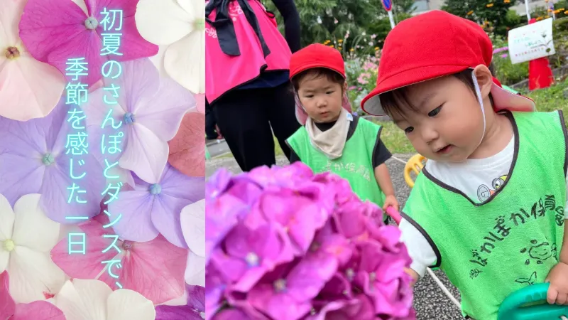初夏のさんぽとダンスで、季節を感じた一日