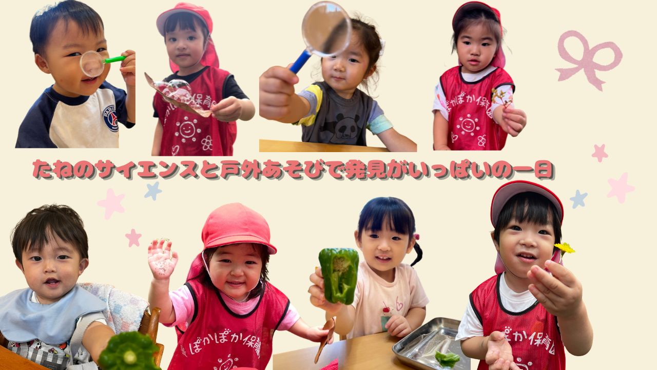 たねのサイエンスと戸外あそびで発見がいっぱいの一日