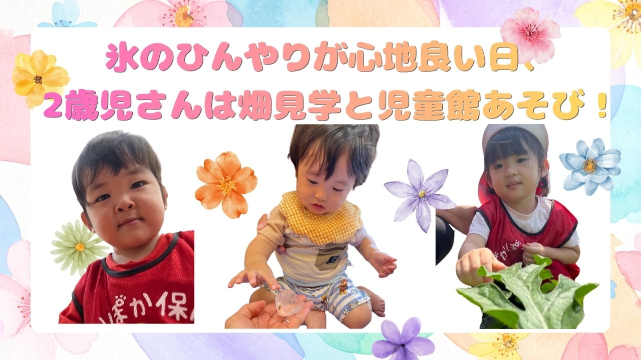 氷のひんやりが心地良い日、2歳児さんは畑見学と児童館あそび！