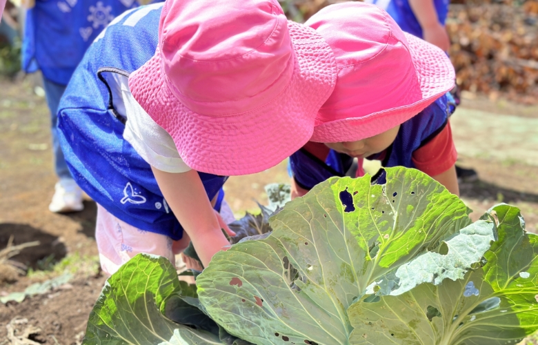 畑を耕すことから