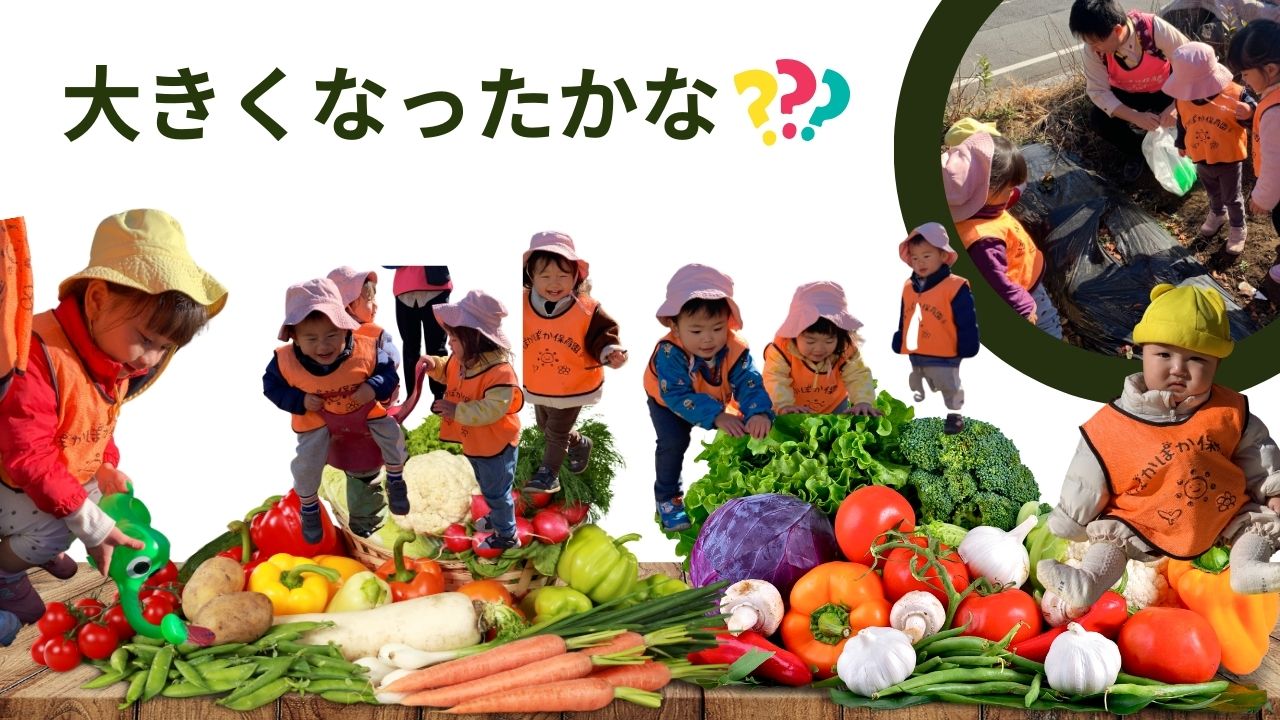 大きくなったかな?